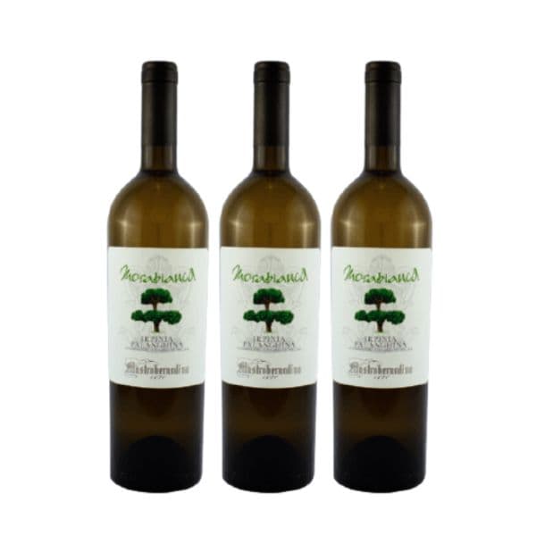 Box da 3 - Irpinia Falanghina DOC Morabianca 2022