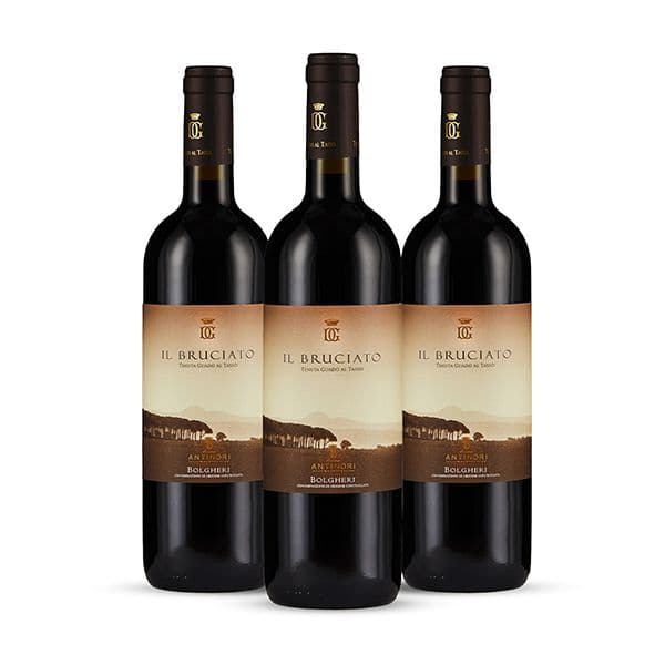 Box da 3 - Bolgheri DOC Il Bruciato 2021
