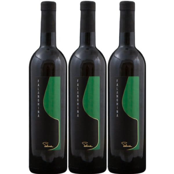 Falanghina IGP Beneventano 2022
