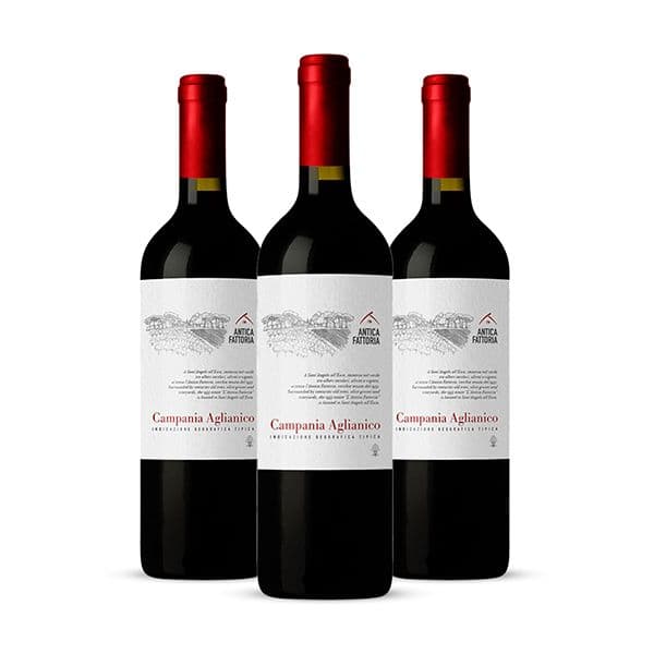 Box da 3 - Campania Aglianico IGT Antica Fattoria 2021