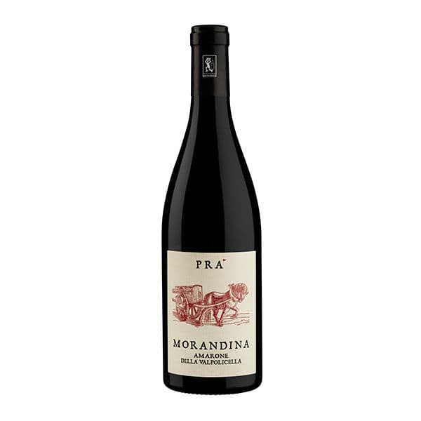 Amarone della Valpolicella DOCG Morandina 2016