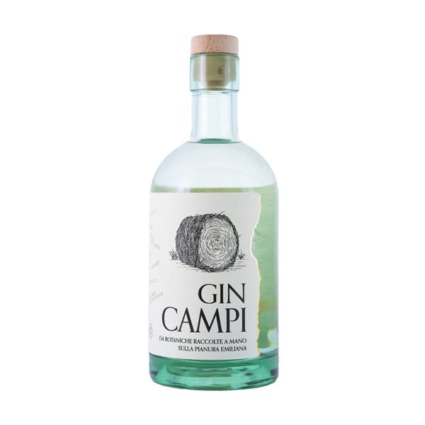 Gin CAMPI (70 cl)