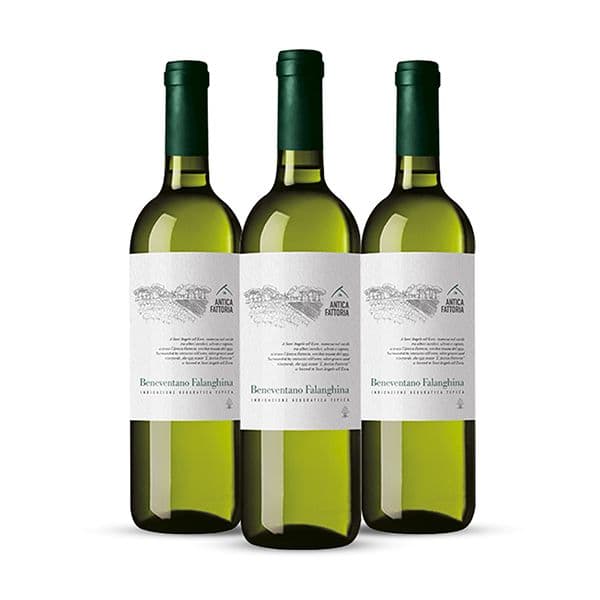 Box da 3 - Campania IGT Falanghina Antica Fattoria 2023