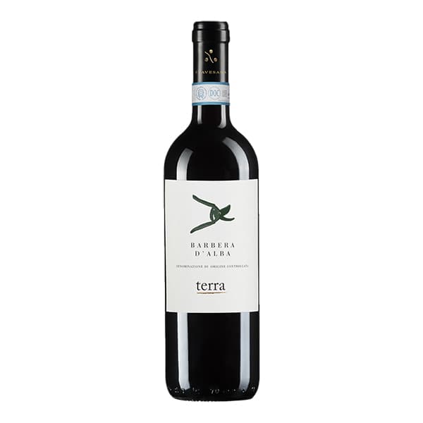 Barbera d'Alba DOC "Terra" 2022