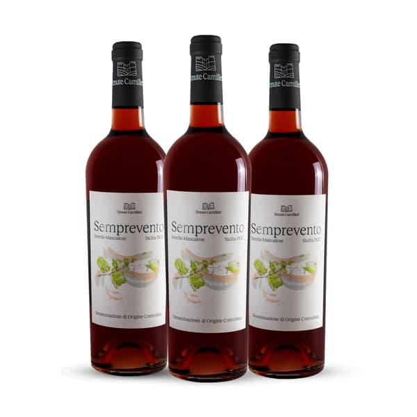 Box da 3 - Sicilia DOC Nerello Mascalese Semprevento 2023
