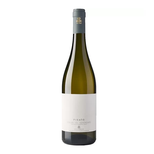 Pigato Colline del Genovesato IGT 2023