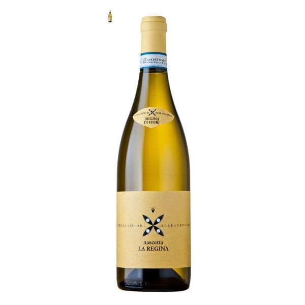 La Regina 2023 Langhe Nascetta DOC						