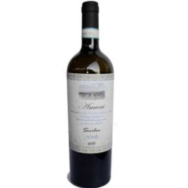 Amunì grillo