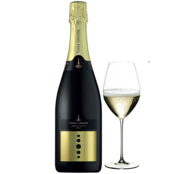 Franciacorta DOCG Brut BIO 2020 (12,5 cl)