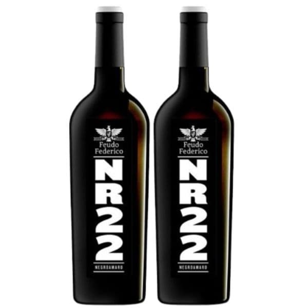 Box da 2 - Salento IGT Negroamaro NR22