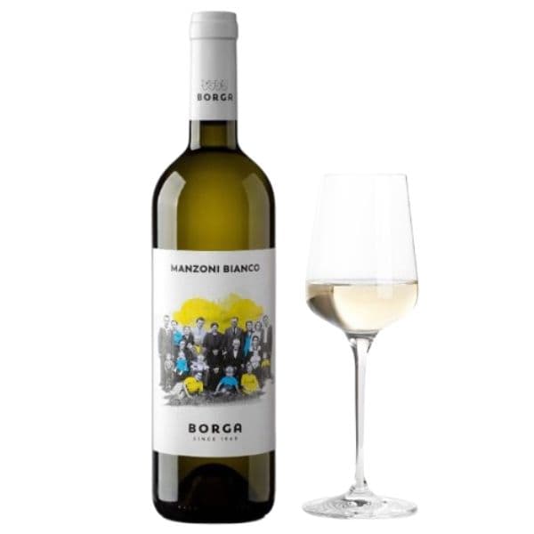 Venezia DOC Manzoni Bianco 2024 (12,5 cl)
