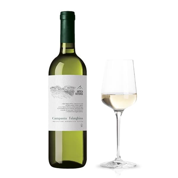 Campania IGT Falanghina Antica Fattoria 2024 (12,5 cl)