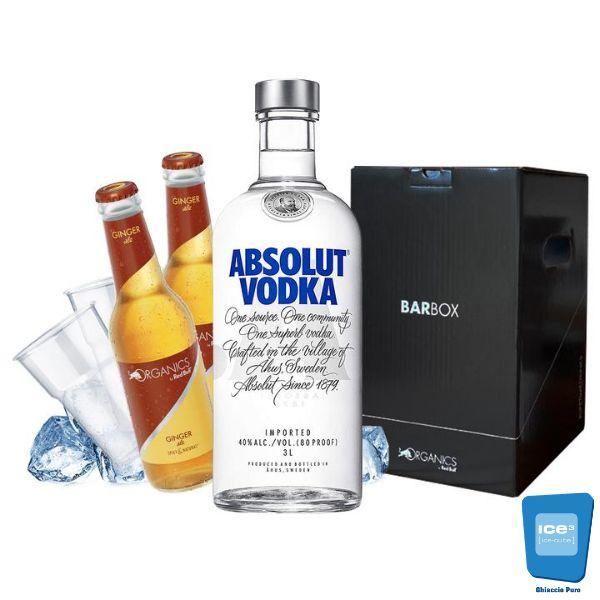 Barbox - Absolut e Ginger Ale Kit - per 10 persone