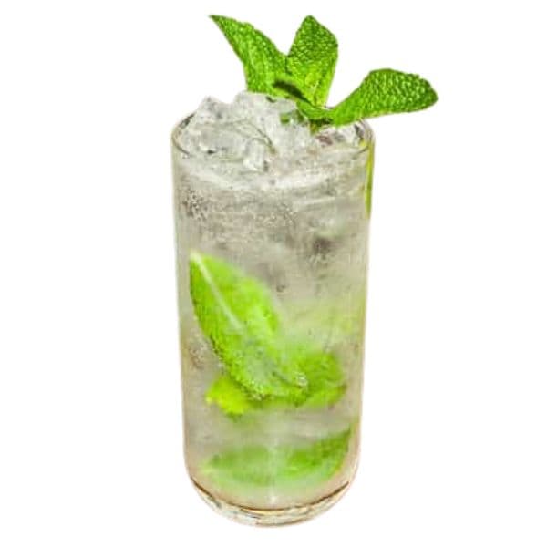 Mint Fizz