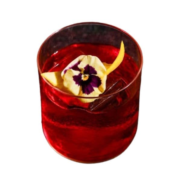 Double Bitter Negroni