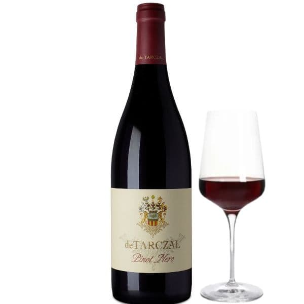 Vigneti Delle Dolomiti IGT Pinot Nero 2024 (12,5 cl)