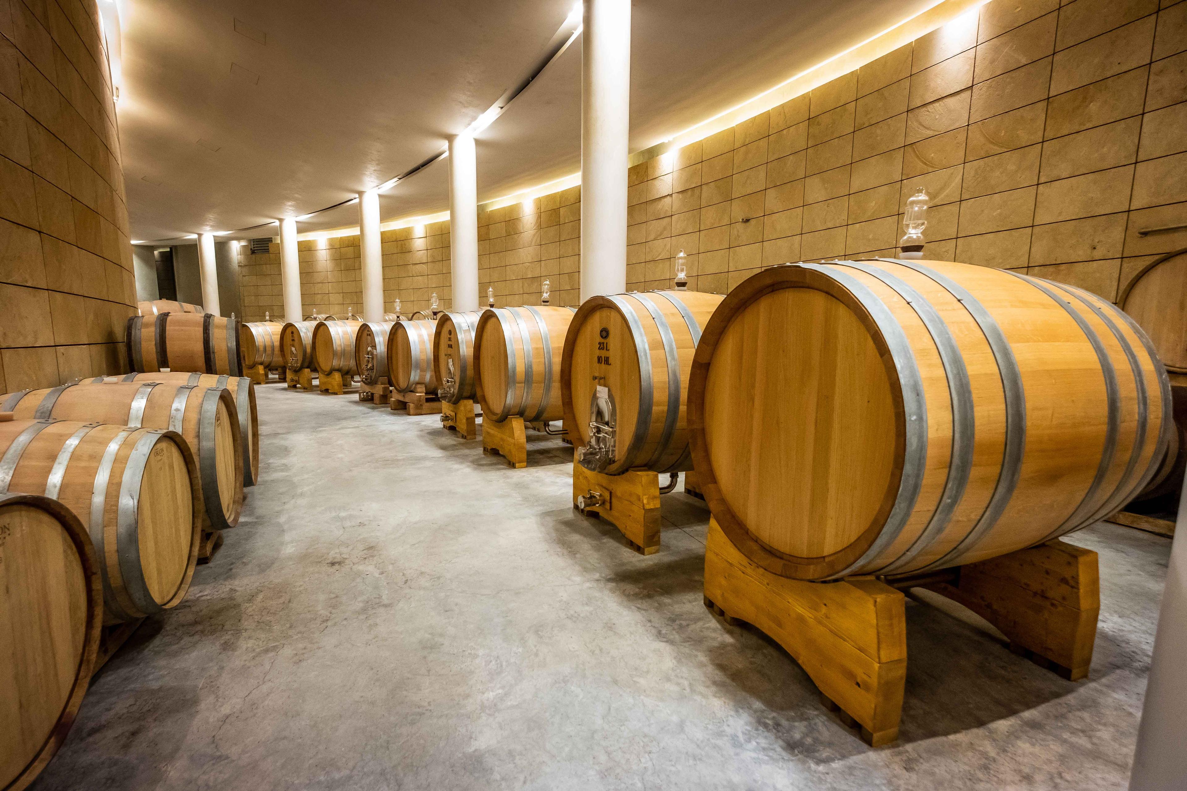 Sangiovese Experience with barrel tasting